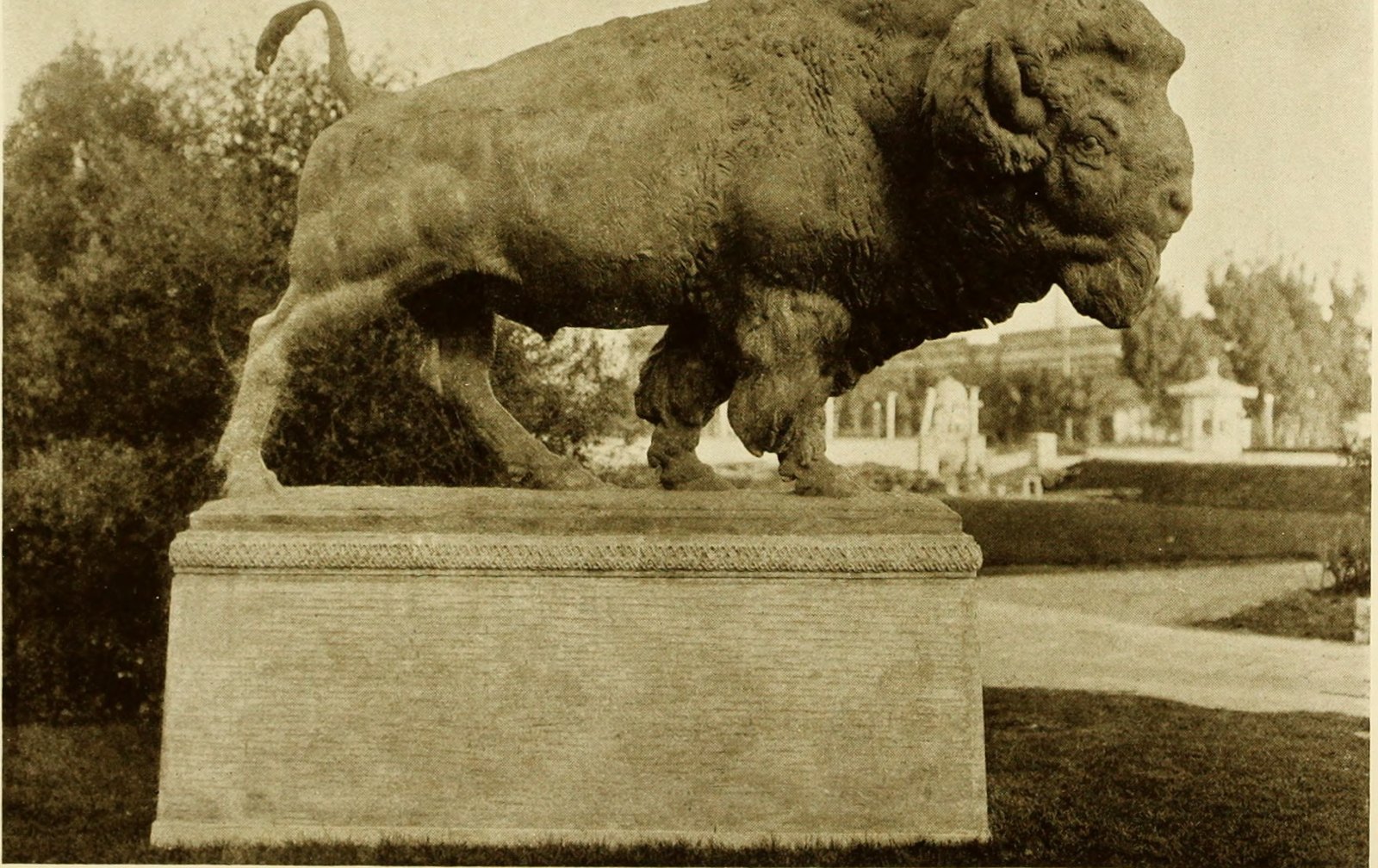 A. Phimister Proctor's American Bison