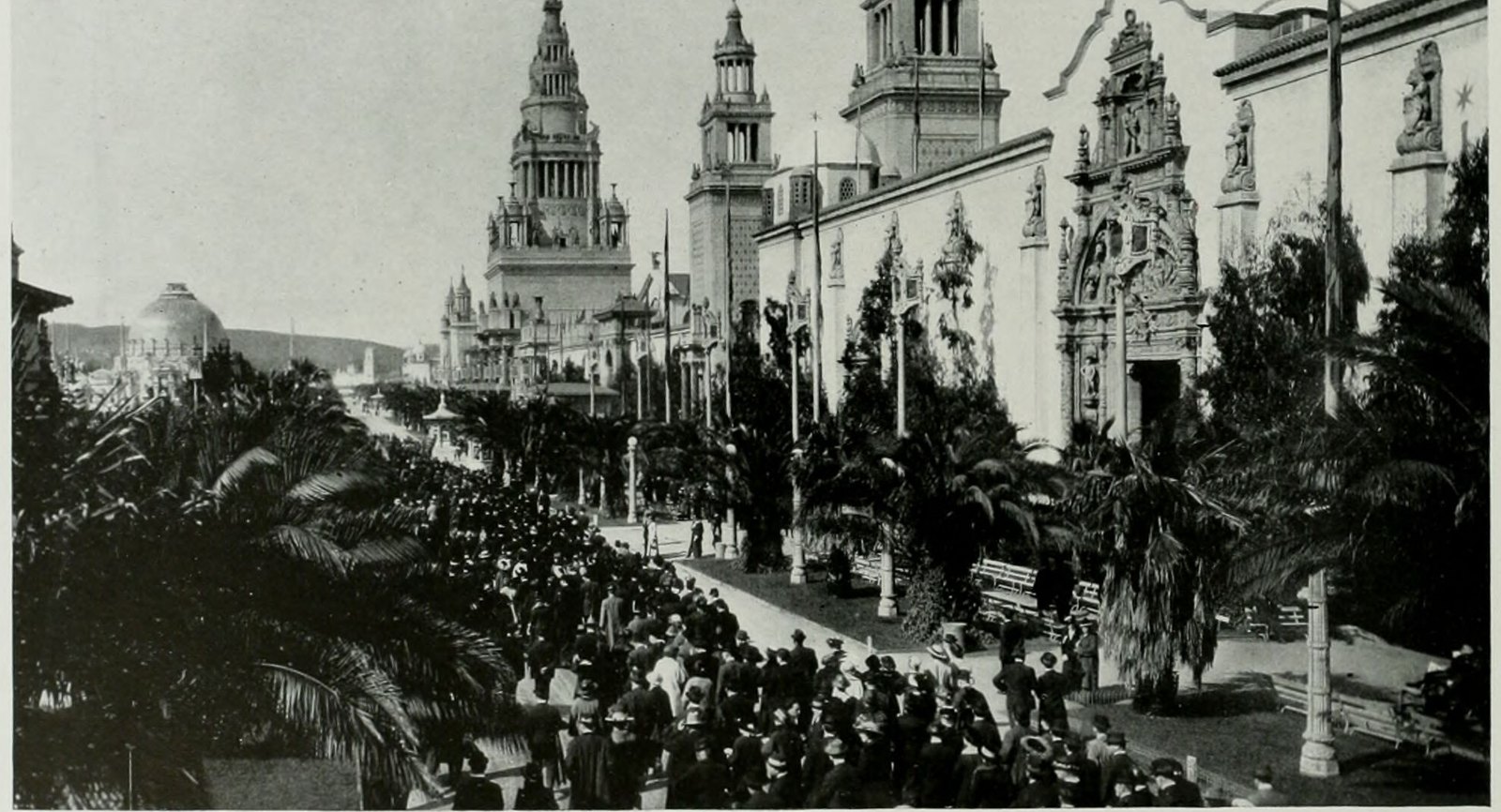 The Avenue of Palms