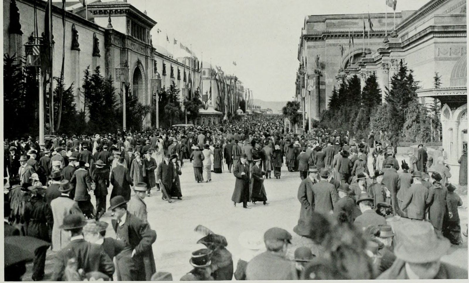 Crowds on the Avenue of Palms